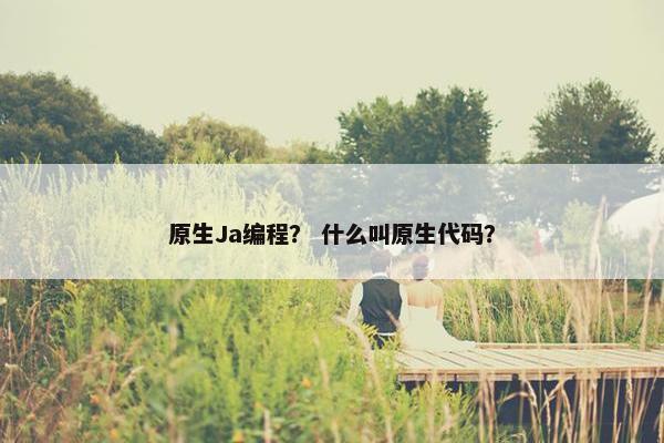 原生Ja编程？ 什么叫原生代码？