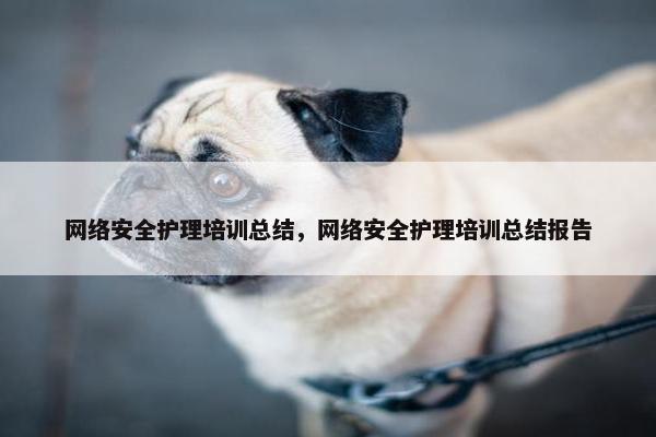 网络安全护理培训总结，网络安全护理培训总结报告