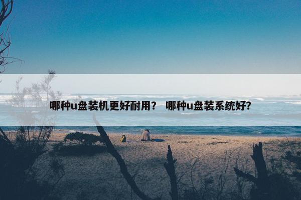 哪种u盘装机更好耐用？ 哪种u盘装系统好？