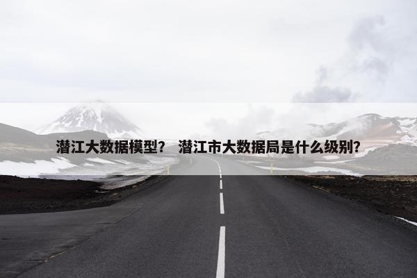 潜江大数据模型？ 潜江市大数据局是什么级别？