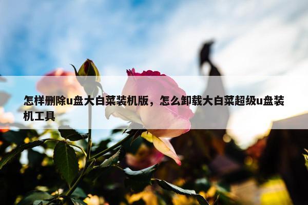 怎样删除u盘大白菜装机版，怎么卸载大白菜超级u盘装机工具