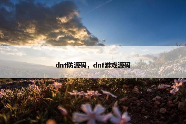 dnf防源码，dnf游戏源码