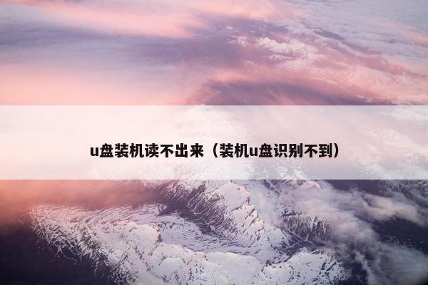 u盘装机读不出来（装机u盘识别不到）