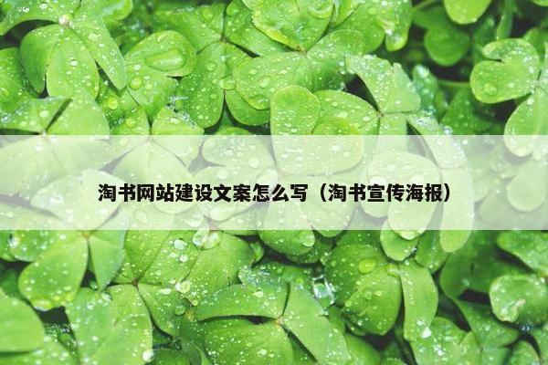 淘书网站建设文案怎么写（淘书宣传海报）