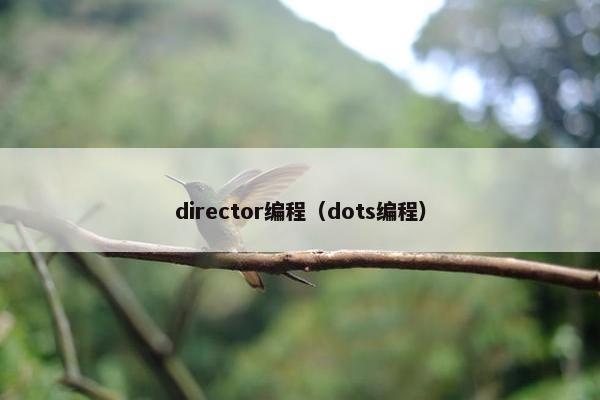 director编程（dots编程）