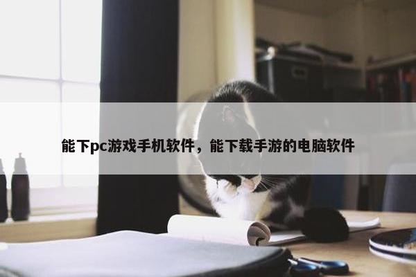 能下pc游戏手机软件，能下载手游的电脑软件