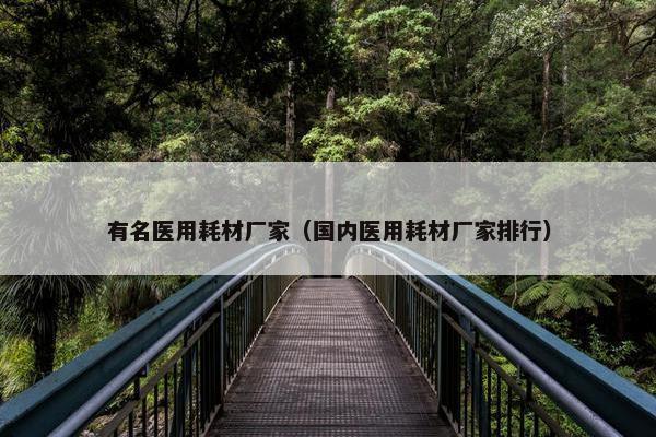 有名医用耗材厂家（国内医用耗材厂家排行）