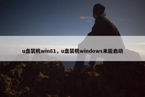 u盘装机win81，u盘装机windows未能启动