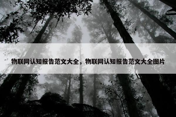 物联网认知报告范文大全，物联网认知报告范文大全图片
