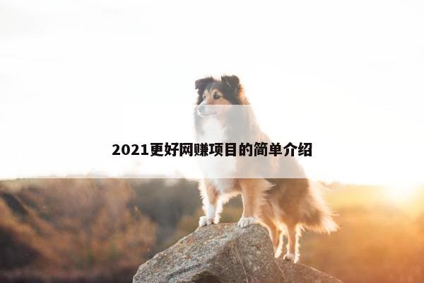 2021更好网赚项目的简单介绍