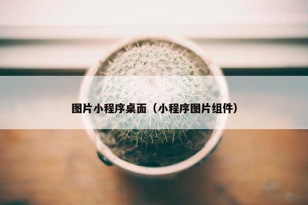 图片小程序桌面（小程序图片组件）