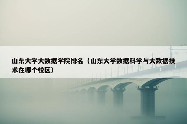 山东大学大数据学院排名（山东大学数据科学与大数据技术在哪个校区）