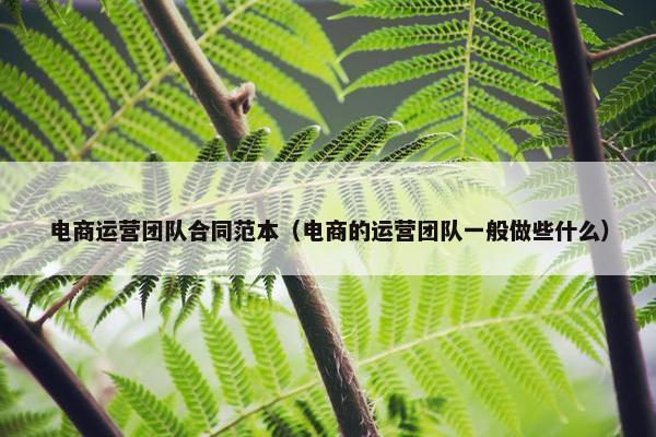 电商运营团队合同范本（电商的运营团队一般做些什么）