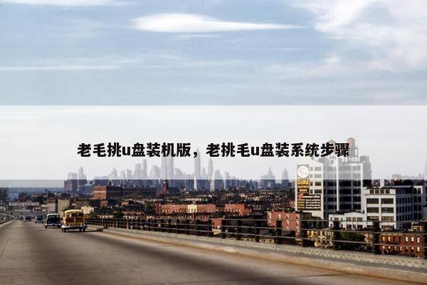 老毛挑u盘装机版，老挑毛u盘装系统步骤