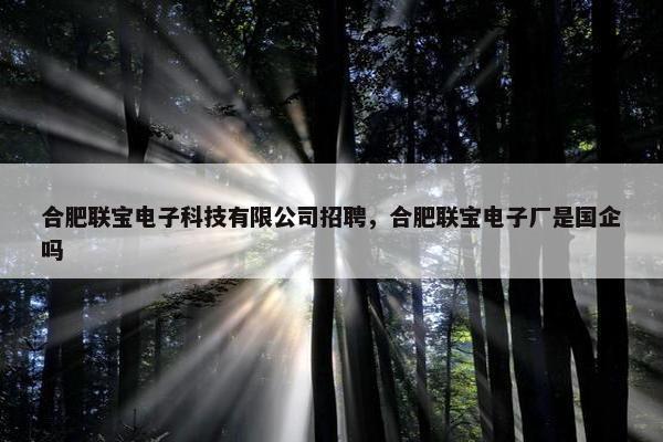 合肥联宝电子科技有限公司招聘，合肥联宝电子厂是国企吗