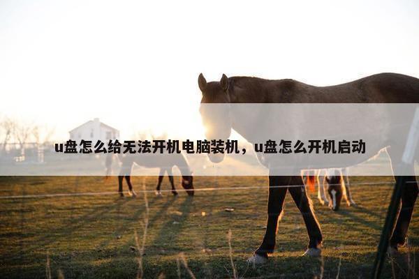 u盘怎么给无法开机电脑装机，u盘怎么开机启动