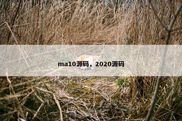 ma10源码，2020源码