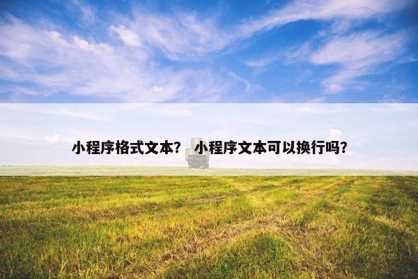 小程序格式文本？ 小程序文本可以换行吗？