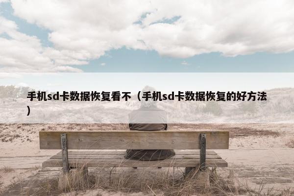 手机sd卡数据恢复看不（手机sd卡数据恢复的好方法）