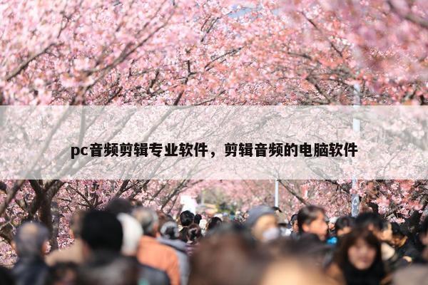 pc音频剪辑专业软件，剪辑音频的电脑软件