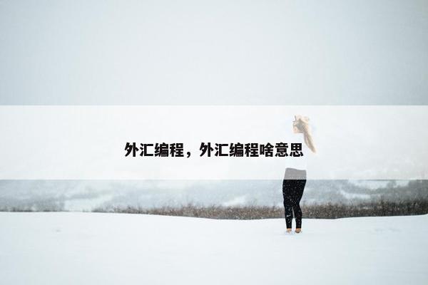 外汇编程，外汇编程啥意思
