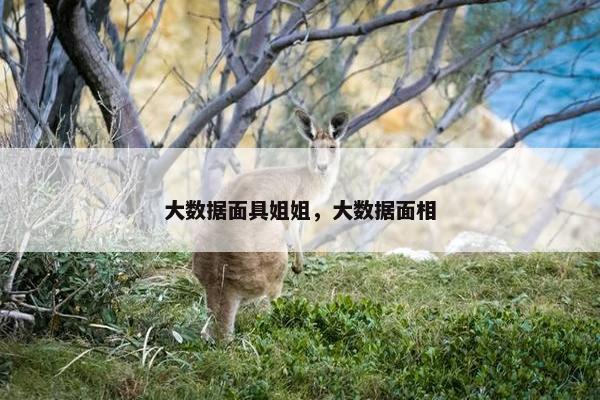 大数据面具姐姐，大数据面相