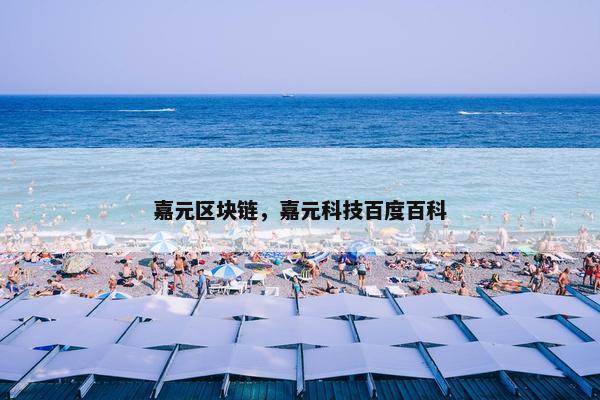 嘉元区块链，嘉元科技百度百科