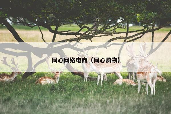 同心网络电商（同心购物）