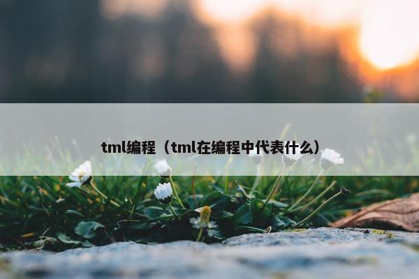 tml编程（tml在编程中代表什么）
