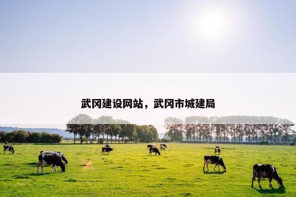 武冈建设网站，武冈市城建局