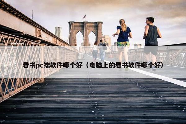 看书pc端软件哪个好（电脑上的看书软件哪个好）