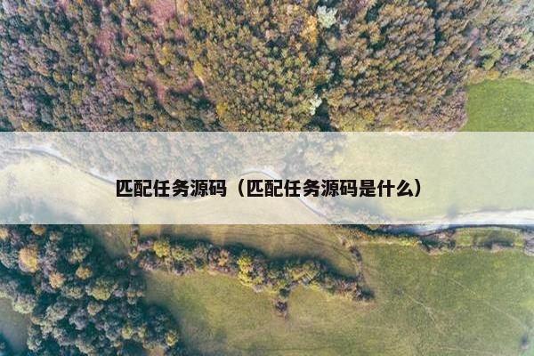 匹配任务源码（匹配任务源码是什么）