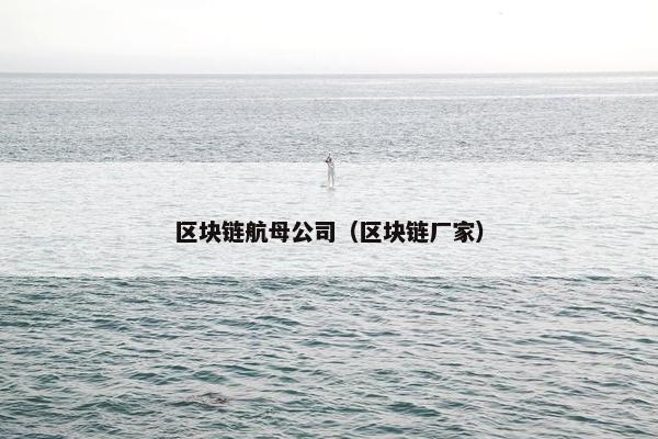 区块链航母公司（区块链厂家）