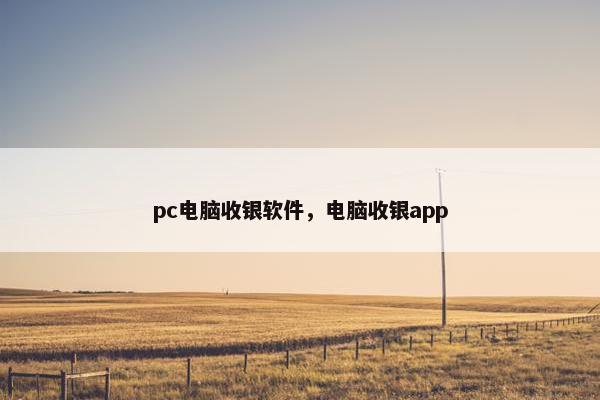 pc电脑收银软件，电脑收银app