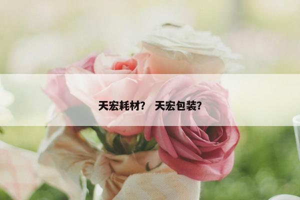 天宏耗材？ 天宏包装？