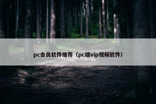 pc会员软件推荐（pc端vip视频软件）