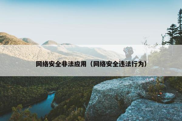 网络安全非法应用（网络安全违法行为）