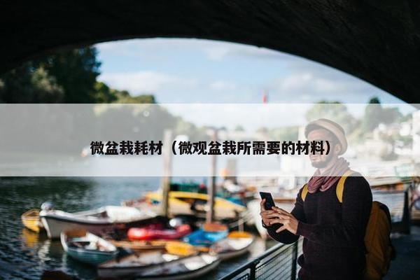 微盆栽耗材（微观盆栽所需要的材料）