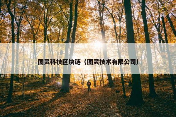 图灵科技区块链（图灵技术有限公司）