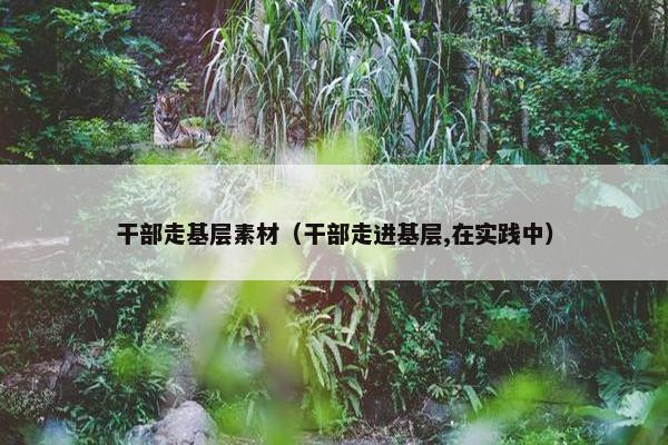 干部走基层素材（干部走进基层,在实践中）