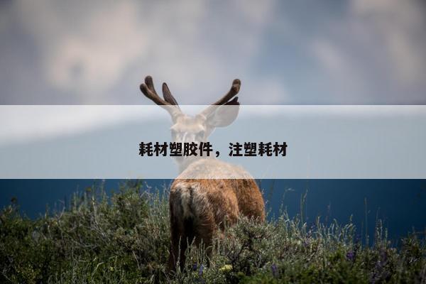 耗材塑胶件，注塑耗材
