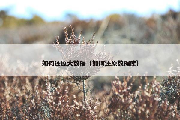 如何还原大数据（如何还原数据库）
