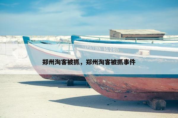 郑州淘客被抓，郑州淘客被抓事件