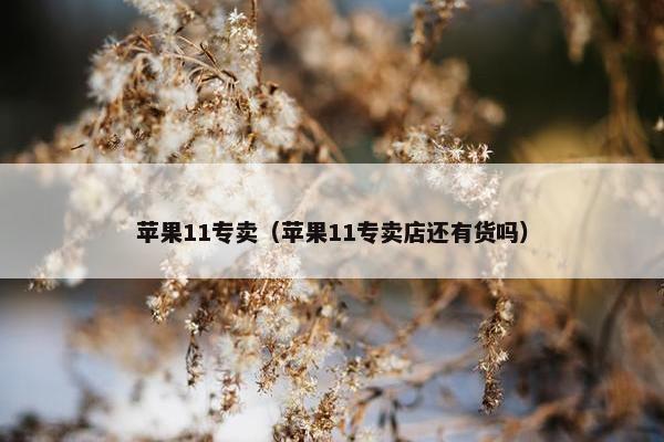 苹果11专卖（苹果11专卖店还有货吗）