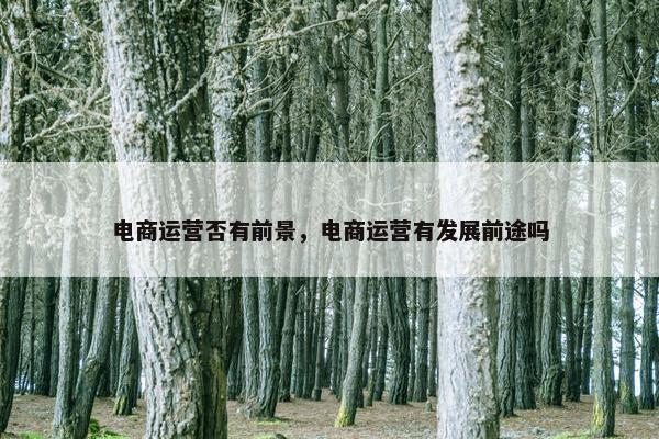 电商运营否有前景，电商运营有发展前途吗