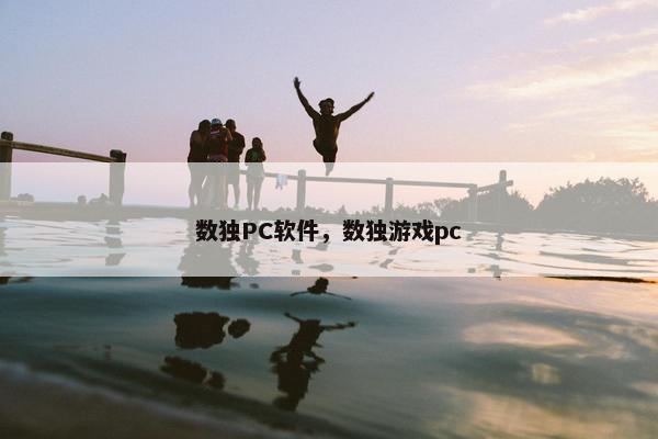 数独PC软件，数独游戏pc