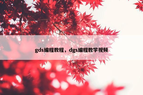 gds编程教程，dgs编程教学视频