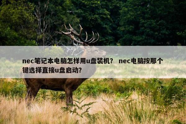 nec笔记本电脑怎样用u盘装机？ nec电脑按那个键选择直接u盘启动？