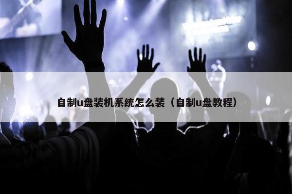 自制u盘装机系统怎么装（自制u盘教程）