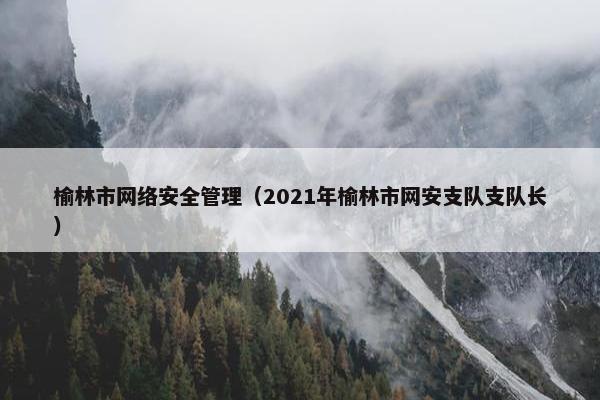 榆林市网络安全管理（2021年榆林市网安支队支队长）